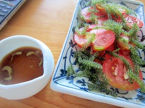 トマト海葡萄オリーブ酢醤油ドレッシング